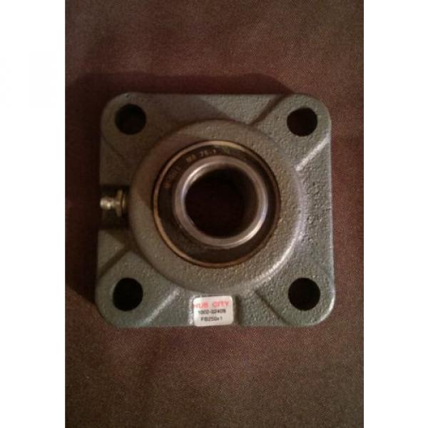 FB250-1 Flange Hub Bearing 1&#034; Mcgill MB25-1 #1 image